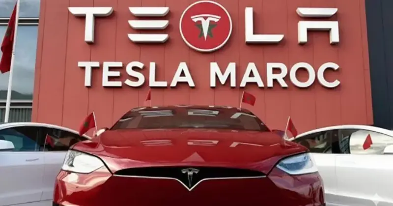 التحديات التي تواجه تسلا في المغرب